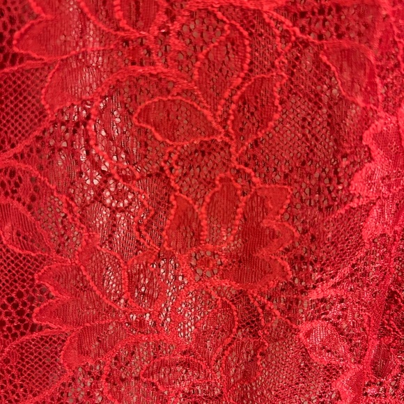 Anthropologie Lace Mockneck Valentine’s - Picture 6 of 6